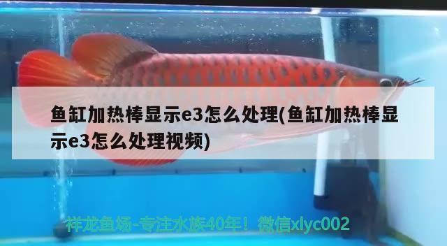 魚缸加熱棒顯示e3怎么處理(魚缸加熱棒顯示e3怎么處理視頻)