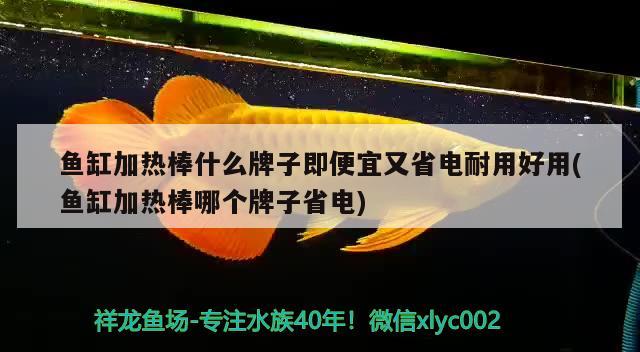 魚缸加熱棒什么牌子即便宜又省電耐用好用(魚缸加熱棒哪個(gè)牌子省電) 元寶鳳凰魚專用魚糧