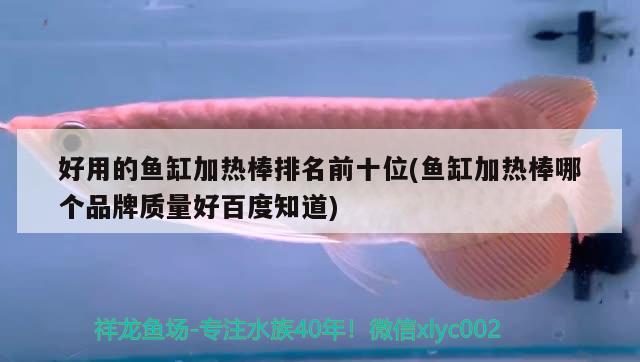 好用的魚缸加熱棒排名前十位(魚缸加熱棒哪個品牌質(zhì)量好百度知道) 月光鴨嘴魚苗