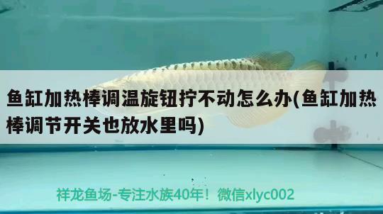 魚缸加熱棒調(diào)溫旋鈕擰不動(dòng)怎么辦(魚缸加熱棒調(diào)節(jié)開關(guān)也放水里嗎) 熱帶魚魚苗批發(fā)