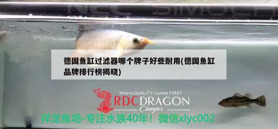 德國魚缸過濾器哪個牌子好些耐用(德國魚缸品牌排行榜揭曉) 翡翠鳳凰魚