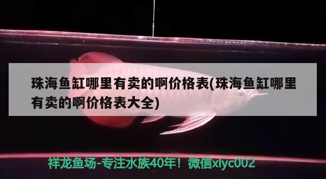 珠海魚缸哪里有賣的啊價格表(珠海魚缸哪里有賣的啊價格表大全) 野彩魚