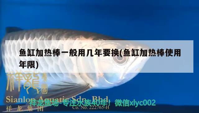 魚(yú)缸加熱棒一般用幾年要換(魚(yú)缸加熱棒使用年限) 養(yǎng)魚(yú)的好處