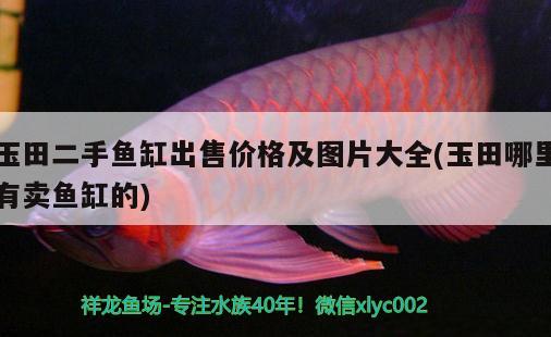 玉田二手魚缸出售價格及圖片大全(玉田哪里有賣魚缸的)