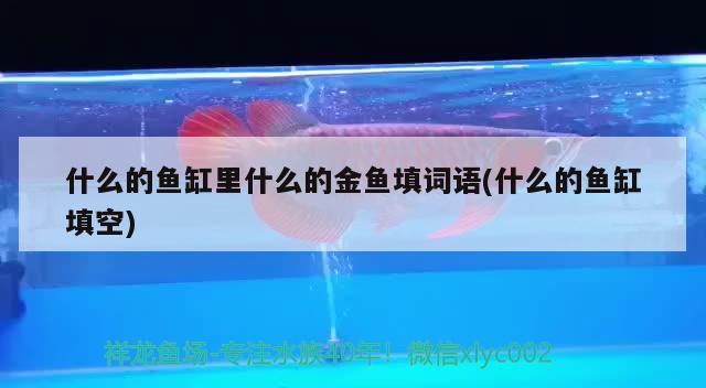 什么的魚缸里什么的金魚填詞語(什么的魚缸填空)