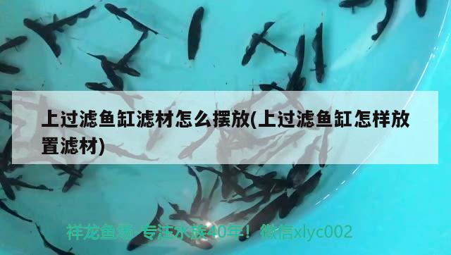 上過濾魚缸濾材怎么擺放(上過濾魚缸怎樣放置濾材) 森森魚缸