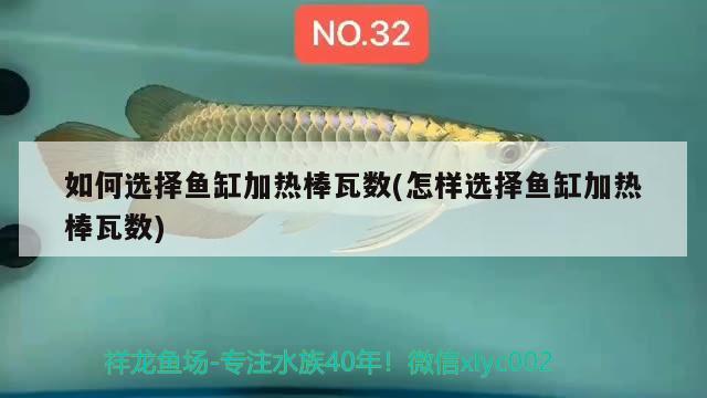 如何選擇魚缸加熱棒瓦數(shù)(怎樣選擇魚缸加熱棒瓦數(shù)) 潛水泵