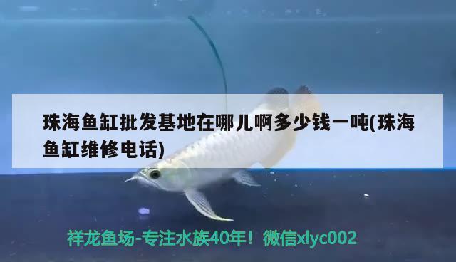 珠海魚缸批發(fā)基地在哪兒啊多少錢一噸(珠海魚缸維修電話)