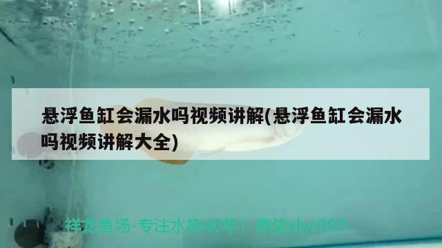 懸浮魚缸會漏水嗎視頻講解(懸浮魚缸會漏水嗎視頻講解大全)