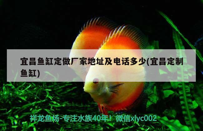 宜昌魚缸定做廠家地址及電話多少(宜昌定制魚缸)