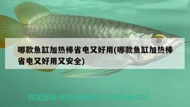 哪款魚缸加熱棒省電又好用(哪款魚缸加熱棒省電又好用又安全) 紅勾銀版魚