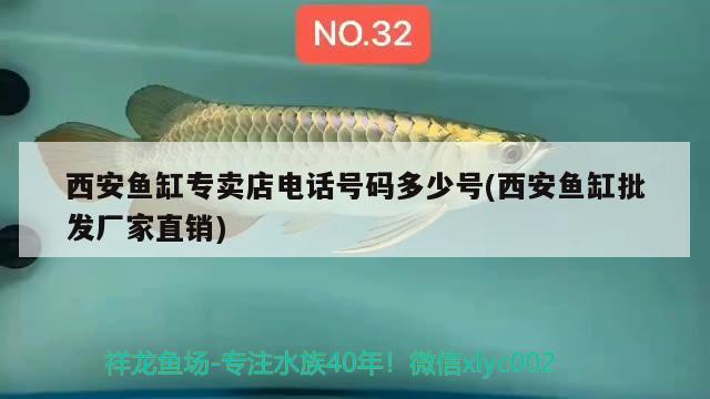 西安魚缸專賣店電話號碼多少號(西安魚缸批發(fā)廠家直銷)