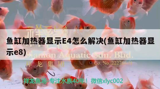 魚缸加熱器顯示E4怎么解決(魚缸加熱器顯示e8)