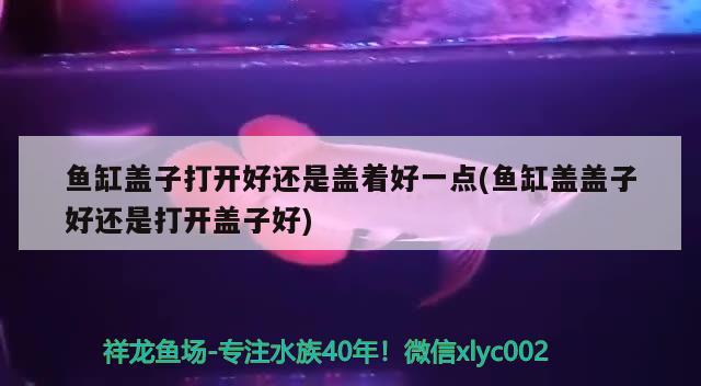 魚缸蓋子打開好還是蓋著好一點(diǎn)(魚缸蓋蓋子好還是打開蓋子好)