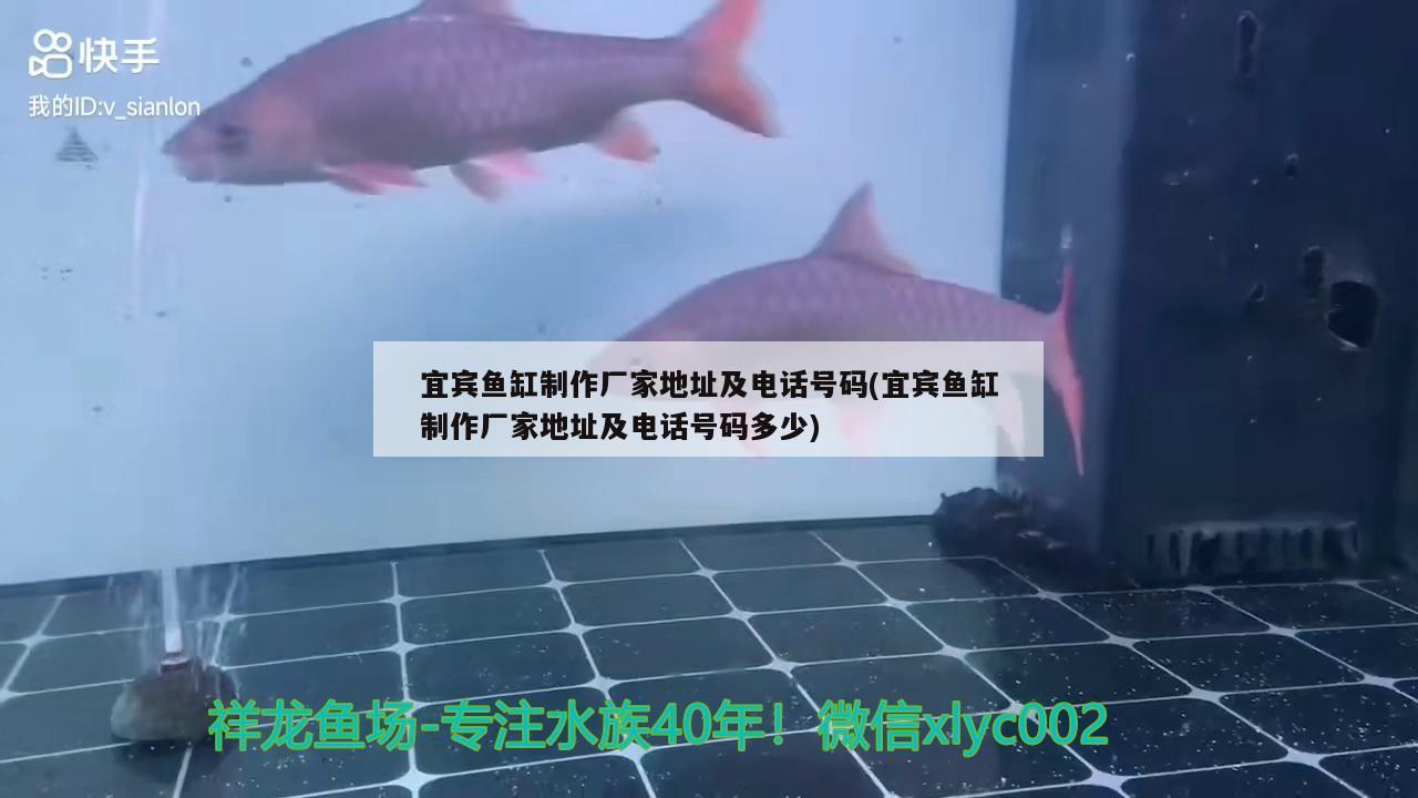 宜賓魚缸制作廠家地址及電話號碼(宜賓魚缸制作廠家地址及電話號碼多少)