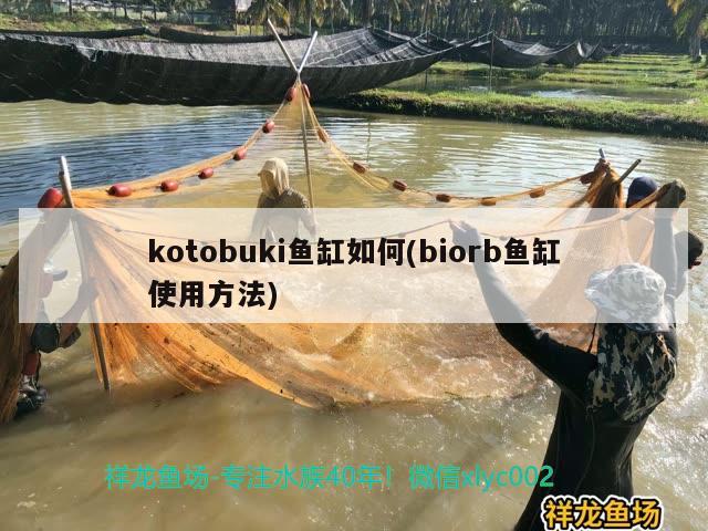 kotobuki魚缸如何(biorb魚缸使用方法) 祥龍傳奇品牌魚缸