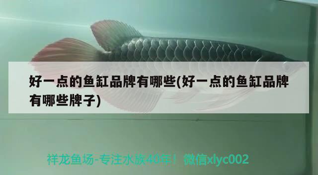 好一點(diǎn)的魚(yú)缸品牌有哪些(好一點(diǎn)的魚(yú)缸品牌有哪些牌子) 祥龍魚(yú)場(chǎng)品牌產(chǎn)品