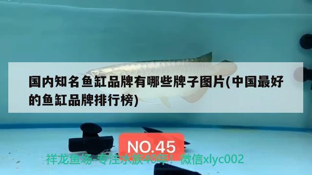 國內(nèi)知名魚缸品牌有哪些牌子圖片(中國最好的魚缸品牌排行榜) 帝王三間魚