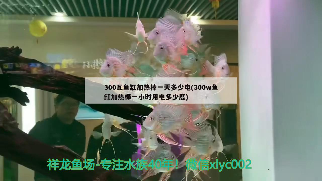 300瓦魚缸加熱棒一天多少電(300w魚缸加熱棒一小時(shí)用電多少度)