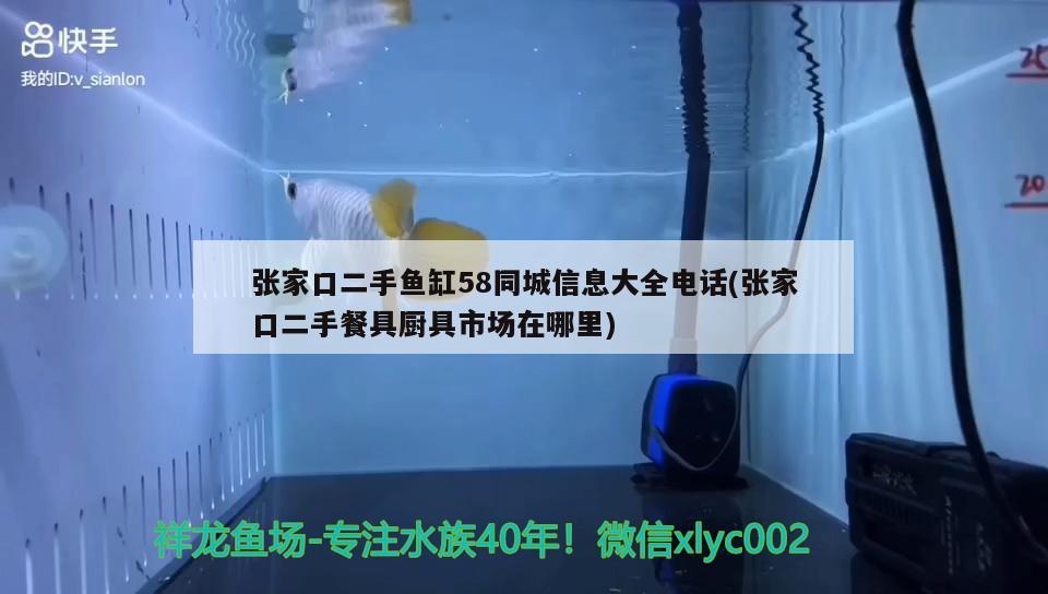 張家口二手魚缸58同城信息大全電話(張家口二手餐具廚具市場在哪里)