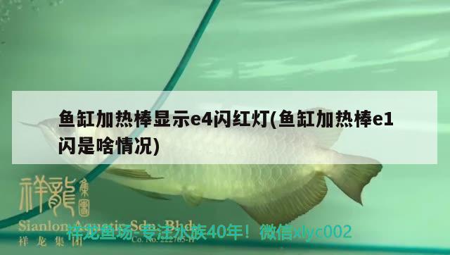 魚(yú)缸加熱棒顯示e4閃紅燈(魚(yú)缸加熱棒e1閃是啥情況)