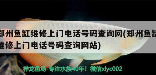 鄭州魚缸維修上門電話號(hào)碼查詢網(wǎng)(鄭州魚缸維修上門電話號(hào)碼查詢網(wǎng)站) 紅白錦鯉魚 第3張