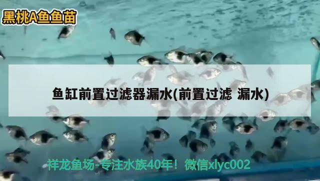 魚缸前置過濾器漏水(前置過濾漏水) 委內(nèi)瑞拉奧里諾三間魚