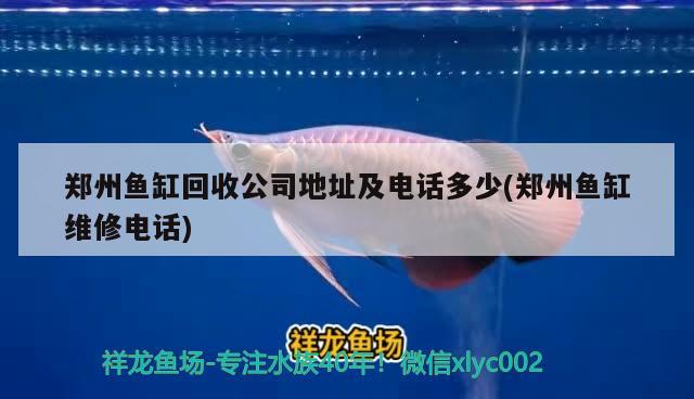 鄭州魚(yú)缸回收公司地址及電話多少(鄭州魚(yú)缸維修電話)