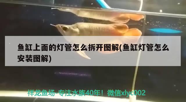 魚缸上面的燈管怎么拆開圖解(魚缸燈管怎么安裝圖解)