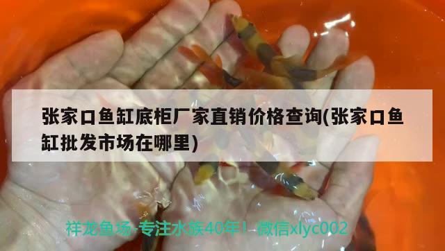 張家口魚缸底柜廠家直銷價(jià)格查詢(張家口魚缸批發(fā)市場(chǎng)在哪里)