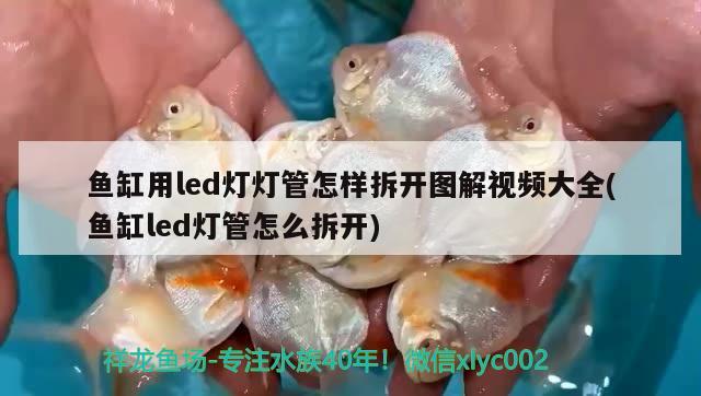 魚(yú)缸用led燈燈管怎樣拆開(kāi)圖解視頻大全(魚(yú)缸led燈管怎么拆開(kāi))