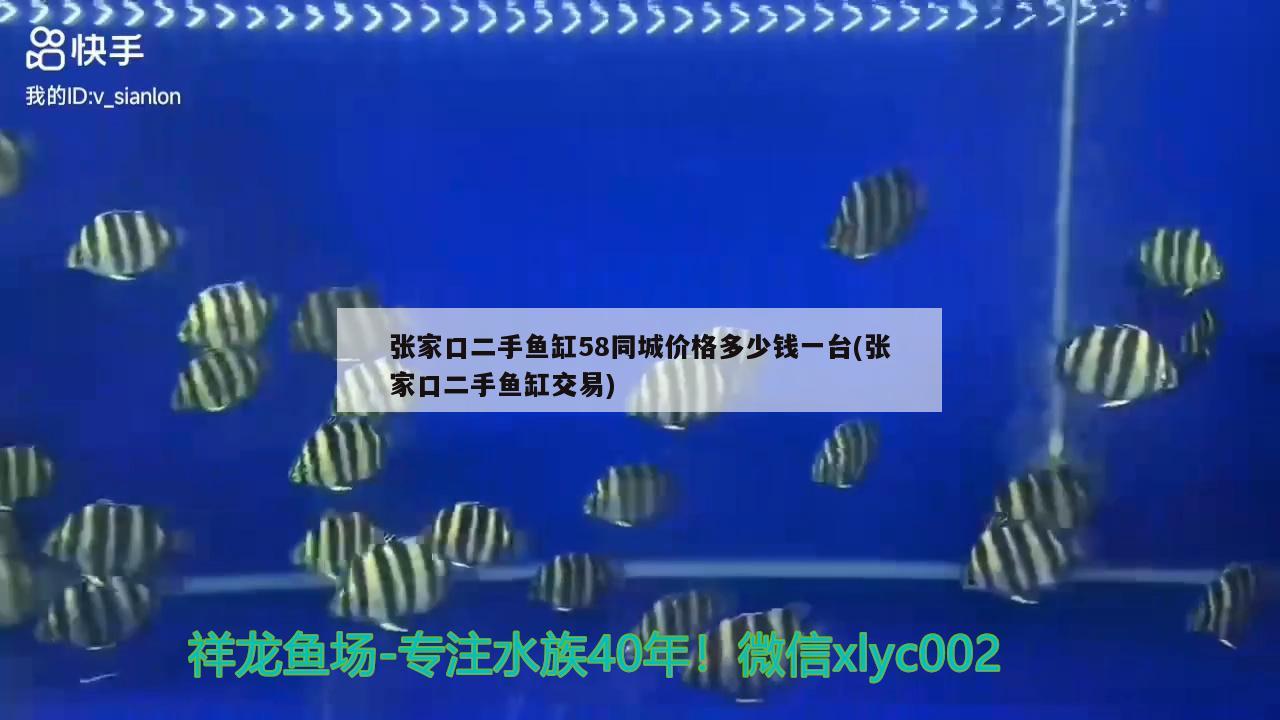 張家口二手魚缸58同城價(jià)格多少錢一臺(tái)(張家口二手魚缸交易) 月光鴨嘴魚苗