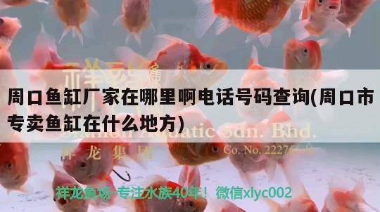 周口魚缸廠家在哪里啊電話號碼查詢(周口市專賣魚缸在什么地方) 觀賞魚百科 第2張