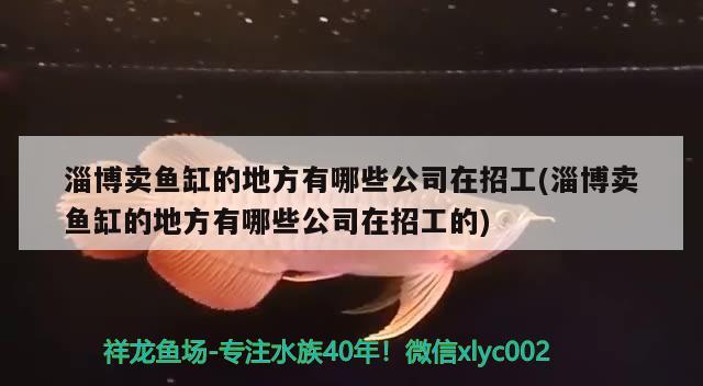 淄博賣魚缸的地方有哪些公司在招工(淄博賣魚缸的地方有哪些公司在招工的) 帝王迷宮魚