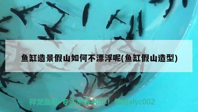 魚缸造景假山如何不漂浮呢(魚缸假山造型) 水族世界