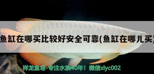 魚缸在哪買比較好安全可靠(魚缸在哪兒買)