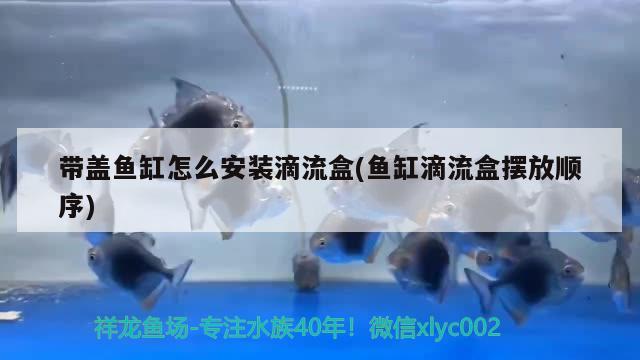 帶蓋魚缸怎么安裝滴流盒(魚缸滴流盒擺放順序)