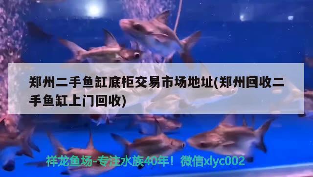 鄭州二手魚缸底柜交易市場地址(鄭州回收二手魚缸上門回收) 翡翠鳳凰魚