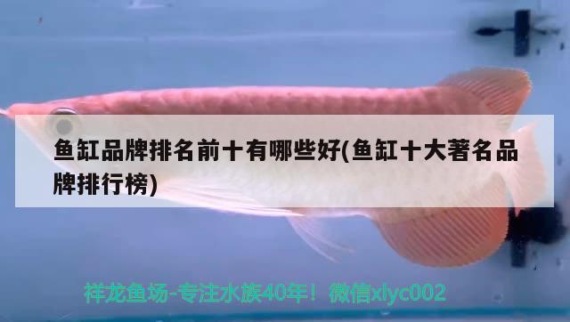 魚缸品牌排名前十有哪些好(魚缸十大著名品牌排行榜) 野生地圖魚