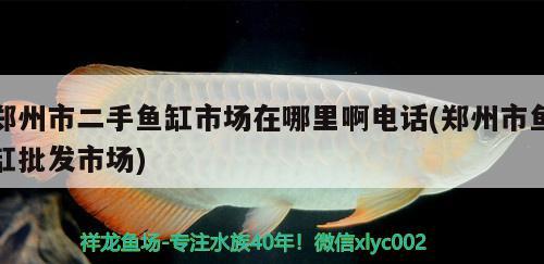 鄭州市二手魚(yú)缸市場(chǎng)在哪里啊電話(鄭州市魚(yú)缸批發(fā)市場(chǎng))