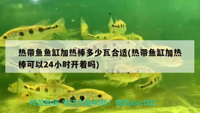 熱帶魚魚缸加熱棒多少瓦合適(熱帶魚缸加熱棒可以24小時開著嗎)