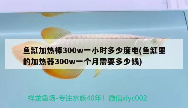 魚缸加熱棒300w一小時(shí)多少度電(魚缸里的加熱器300w一個(gè)月需要多少錢)