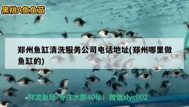 鄭州魚缸清洗服務(wù)公司電話地址(鄭州哪里做魚缸的)