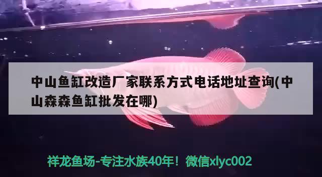 中山魚缸改造廠家聯(lián)系方式電話地址查詢(中山森森魚缸批發(fā)在哪)