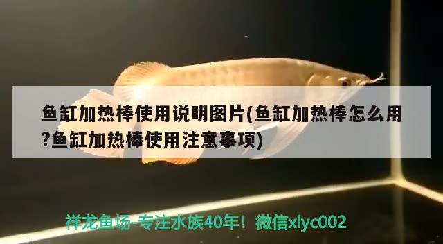 魚缸加熱棒使用說明圖片(魚缸加熱棒怎么用?魚缸加熱棒使用注意事項(xiàng))