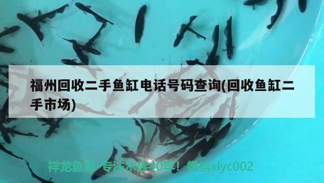 福州回收二手魚缸電話號(hào)碼查詢(回收魚缸二手市場(chǎng)) 觀賞魚市場(chǎng)（混養(yǎng)魚）