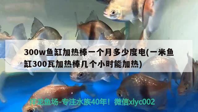 300w魚缸加熱棒一個(gè)月多少度電(一米魚缸300瓦加熱棒幾個(gè)小時(shí)能加熱)