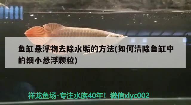 魚缸懸浮物去除水垢的方法(如何清除魚缸中的細小懸浮顆粒)