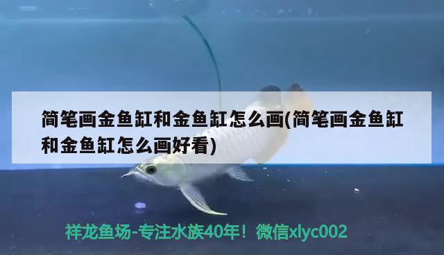 簡筆畫金魚缸和金魚缸怎么畫(簡筆畫金魚缸和金魚缸怎么畫好看) 印尼紅龍魚