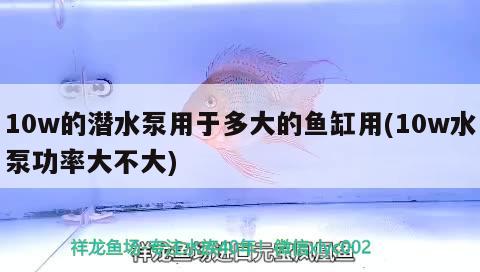 10w的潛水泵用于多大的魚缸用(10w水泵功率大不大)